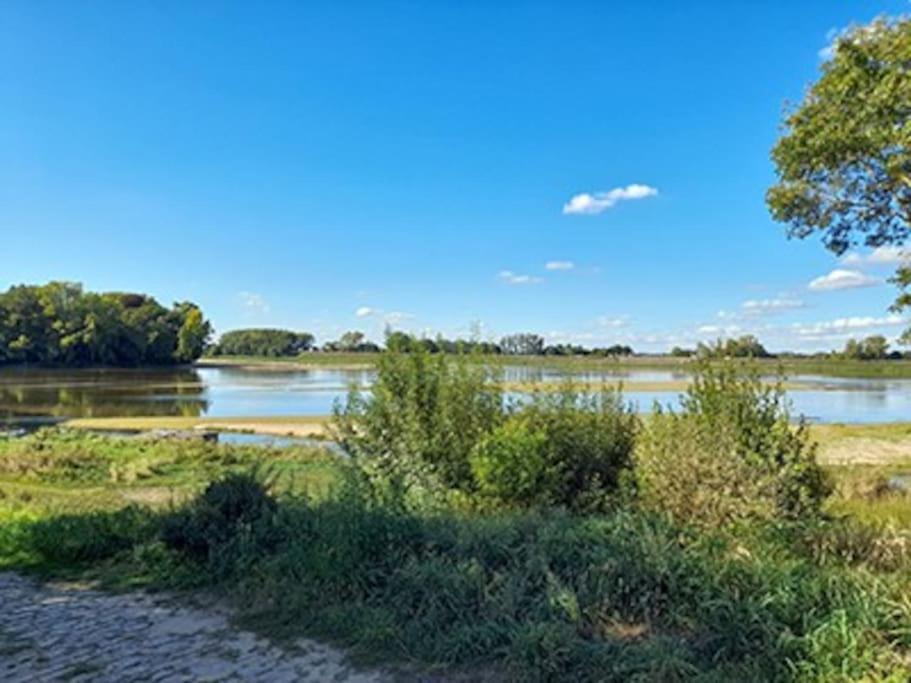 Gite En Bord De Loire Blaison-Saint-Sulpice Экстерьер фото