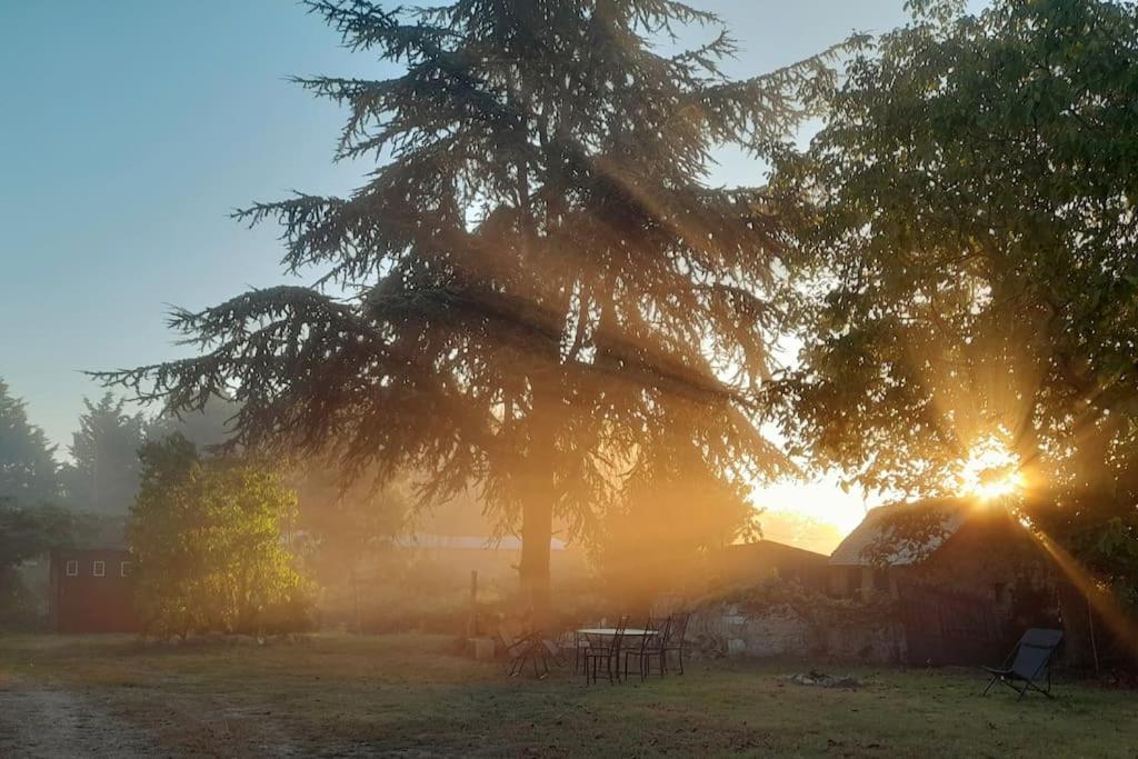 Gite En Bord De Loire Blaison-Saint-Sulpice Экстерьер фото