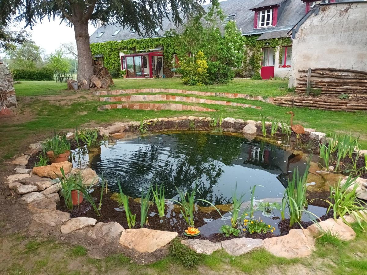 Gite En Bord De Loire Blaison-Saint-Sulpice Экстерьер фото