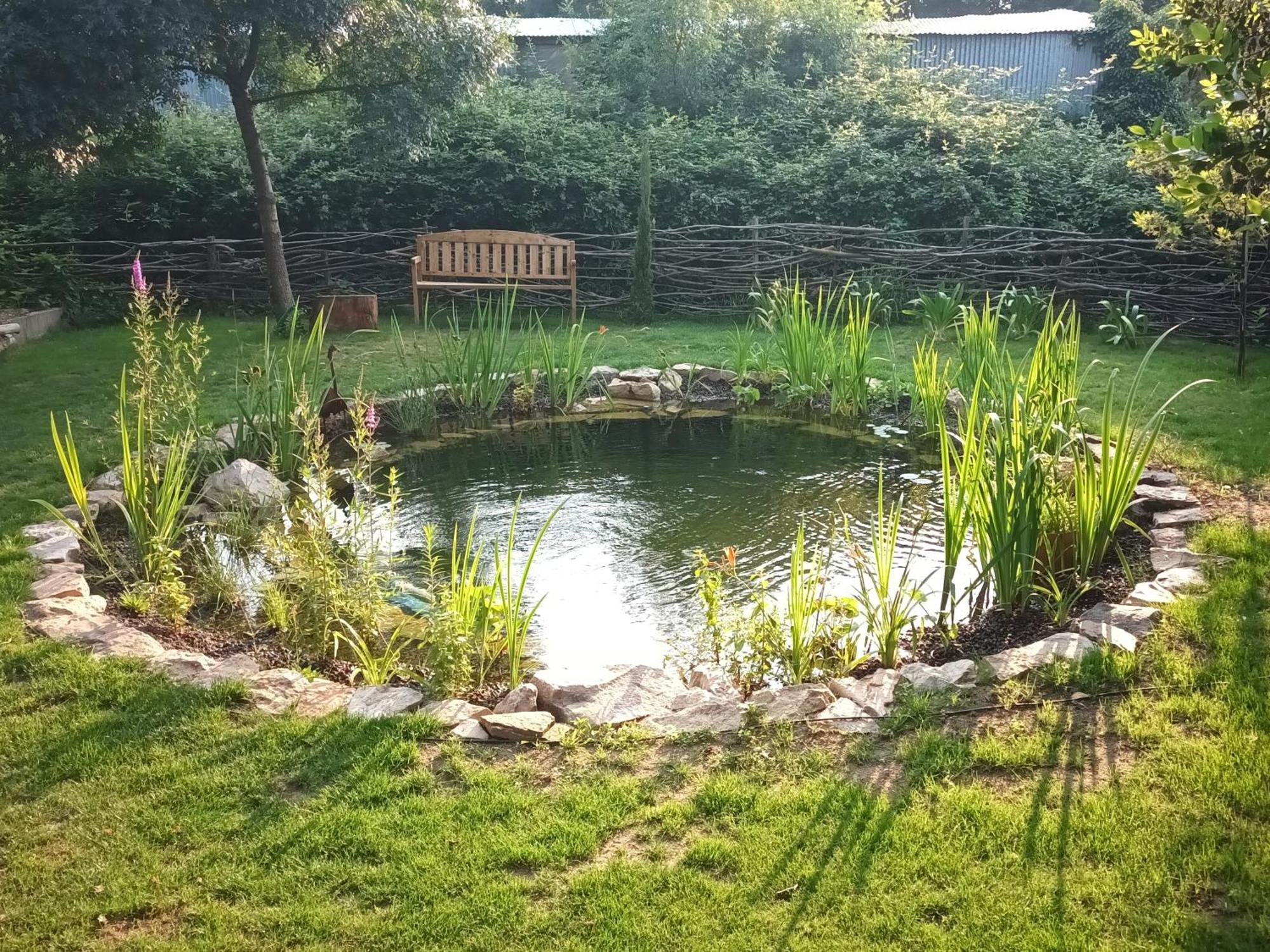 Gite En Bord De Loire Blaison-Saint-Sulpice Номер фото